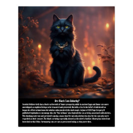 Póster Superstición del gato