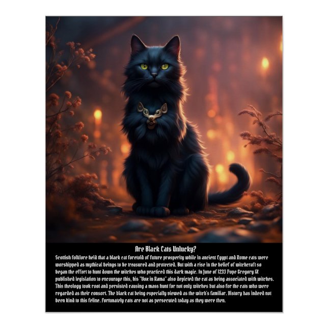 Póster Superstición del gato (Anverso)