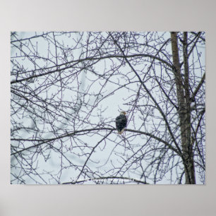 Póster Supervisión