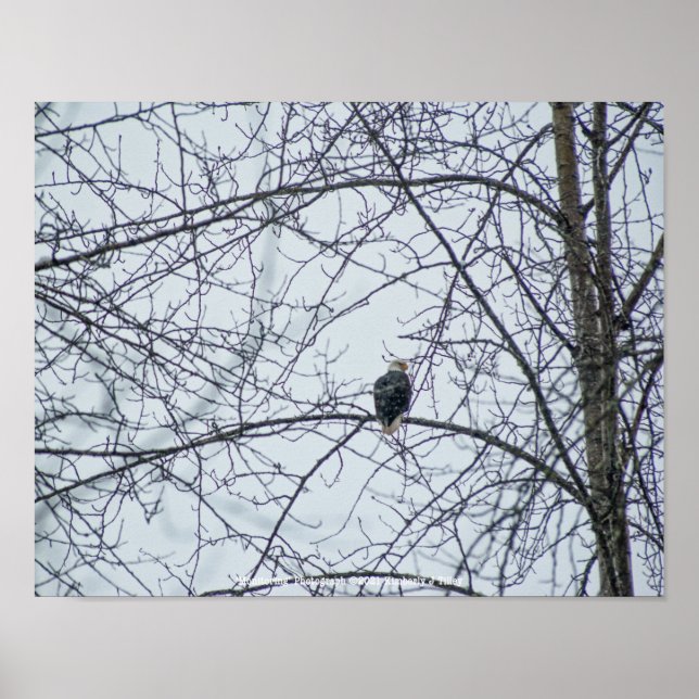 Póster Supervisión (Frente)