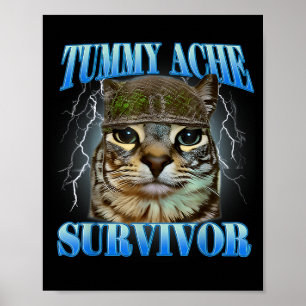 Póster Superviviente de Dolor de Barriga Gato Tonto Meme