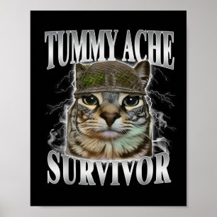 Póster Superviviente de Dolor de Barriga Meme de Gato Div