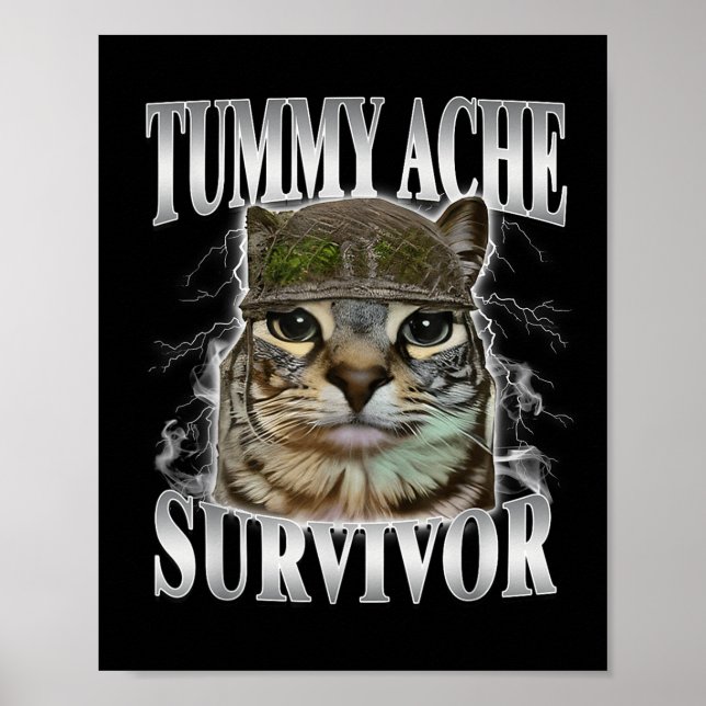 Póster Superviviente de Dolor de Barriga Meme de Gato Div (Frente)