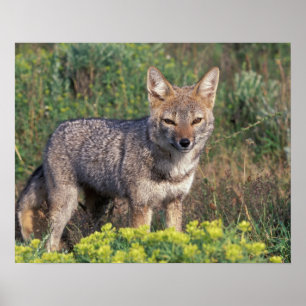 Póster Suramérica, Chile, Torres del Paine NP,
