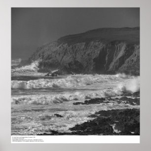 Póster Surf y Rocas cerca de la estación Bodega, 1966