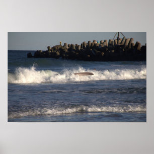 Póster Surfboard en el Poster Waves