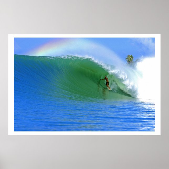 Póster Surfing The Perfect Wave Poster (Frente)