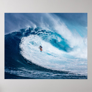 Póster Surfing the Tubes