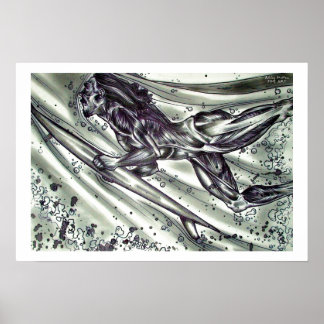 Póster Surfista sin piel