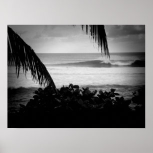 Póster Surfistas que dirigen B&W de negocios