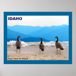 Póster ¡Surf's Up! - Geese