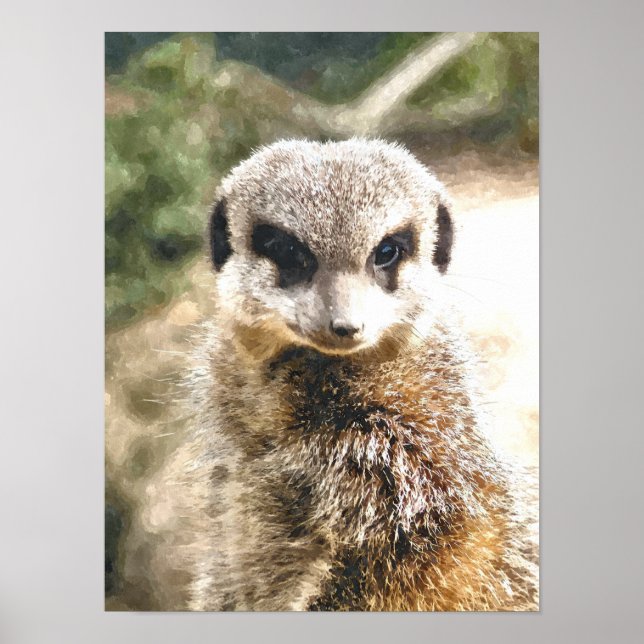 PÓSTER SURICATA (Frente)