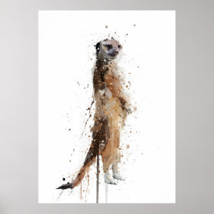 Póster Suricata