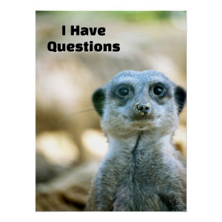 Póster Suricata Divertida Tengo Preguntas Humor Animal