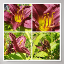 Póster surtido de lirios rojos