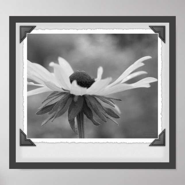 Póster Susan Floral Black And White Print (Frente)