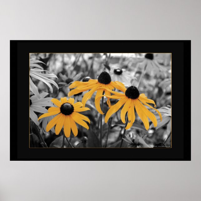 Póster Susan Tres (Frente)