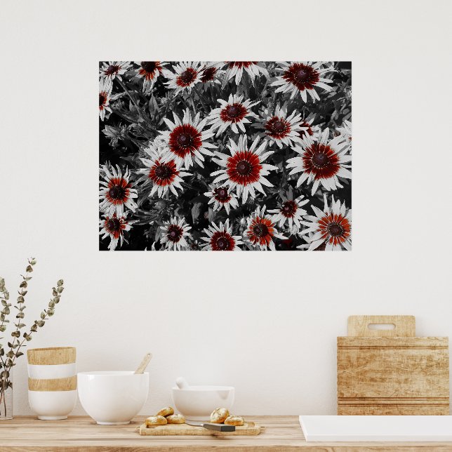 Póster Susans de ojos negros impresionantes  (Cocina)