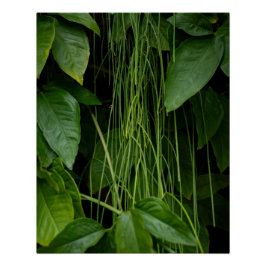 Póster Suspended Nature