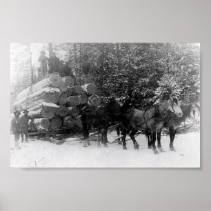 Póster Suspensión de registro