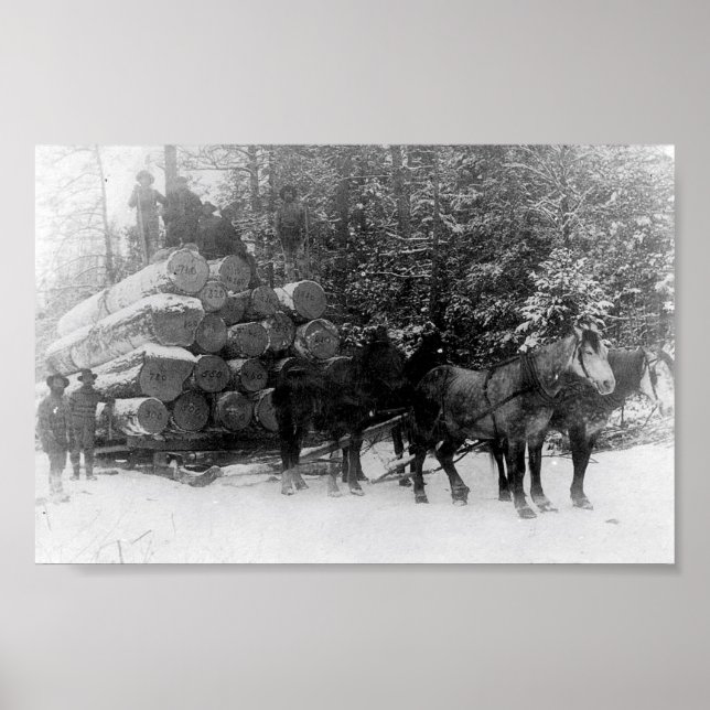 Póster Suspensión de registro (Frente)