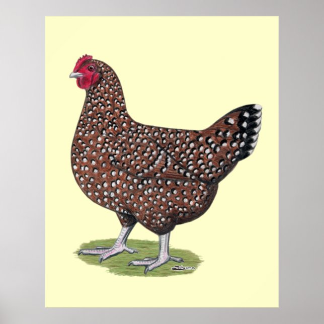 Póster Sussex: Hen apuñalado (Frente)