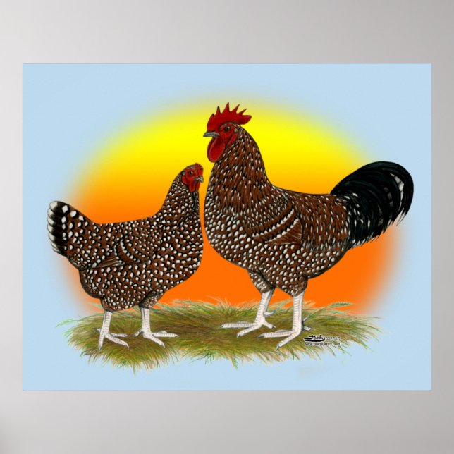 Póster Sussex Sunrise (Frente)