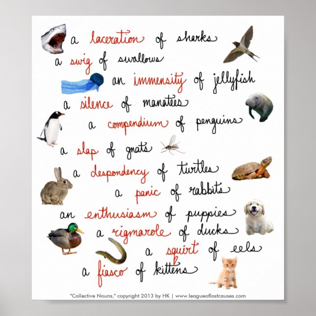 Póster Sustantivos colectivos: carteles (Frente)