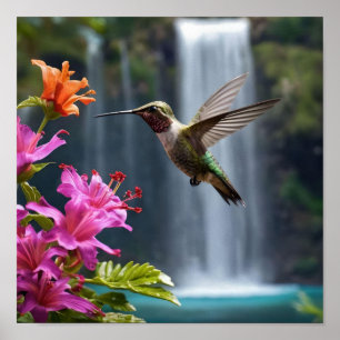 Póster "Susurros de la naturaleza: Hummingbird, cascada