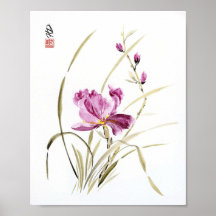 Susurros del Iris