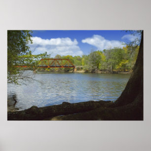 Póster Suwannee River Railroad Trestle Print