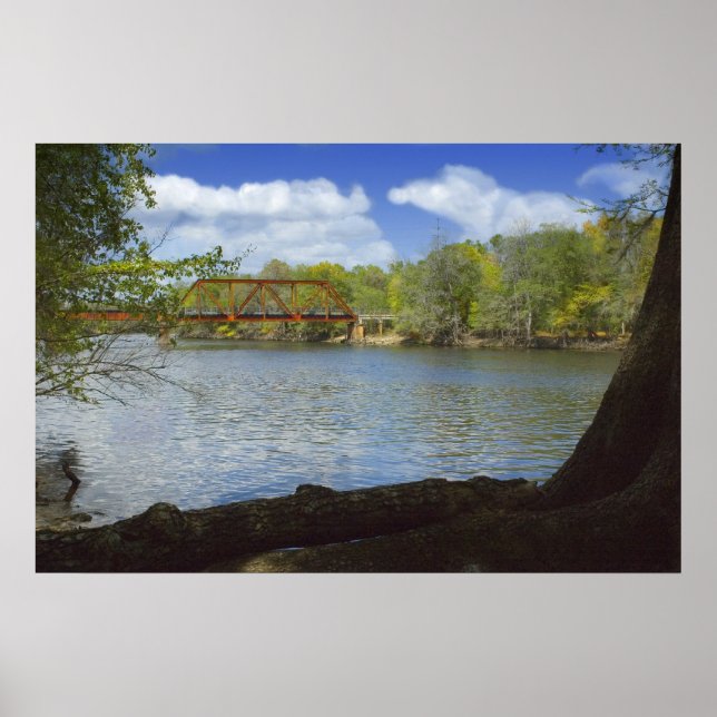 Póster Suwannee River Railroad Trestle Print (Frente)