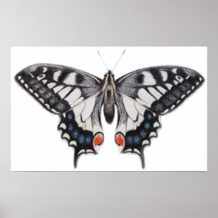 Póster Swallowtail 2012