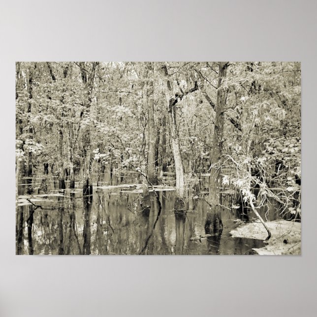 Póster Swamp de Nueva Orleans (Frente)