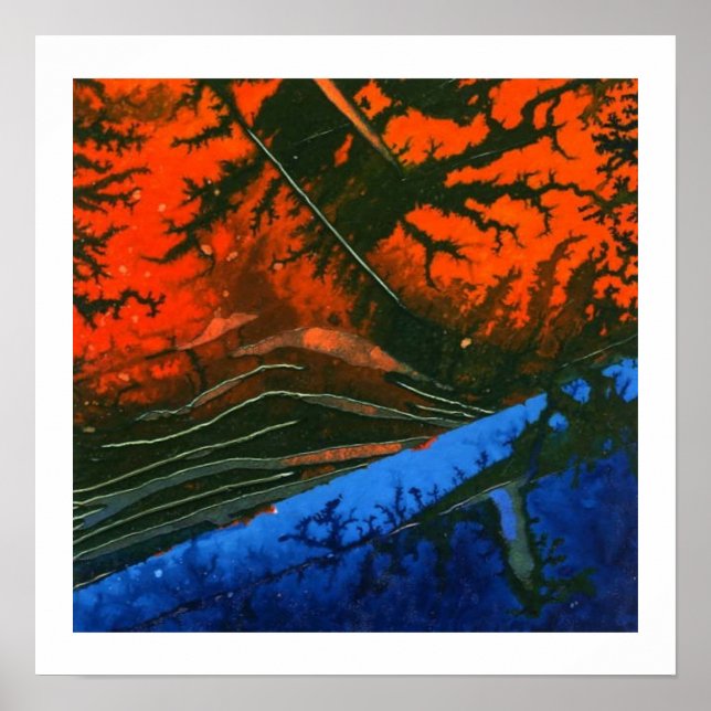 Póster Swamp Fire #6 (Frente)