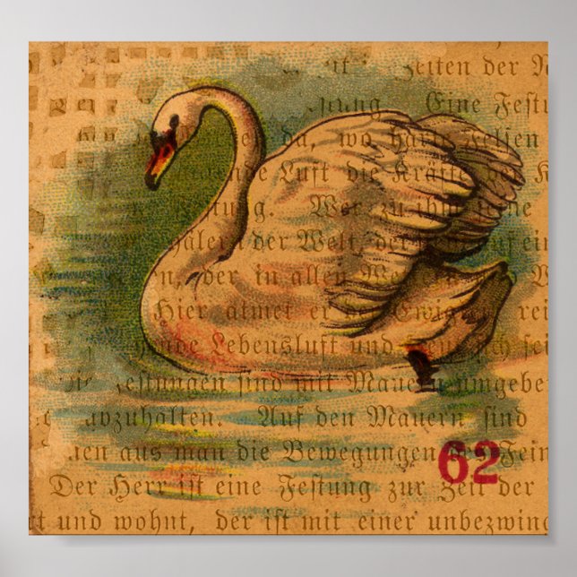 Póster Swan (Frente)