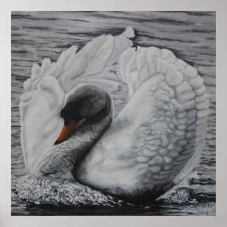 Póster Swan