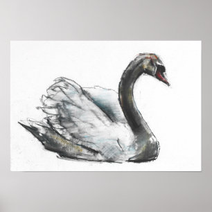 Póster Swan