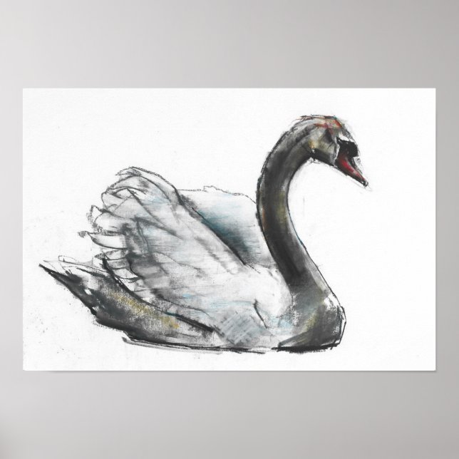 Póster Swan (Frente)