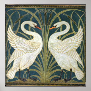 Póster Swan and Rush and Iris Wallpaper Illustration