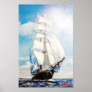 Póster Swan Fan Makkum