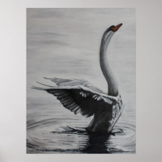 Póster Swan (lado izquierdo)