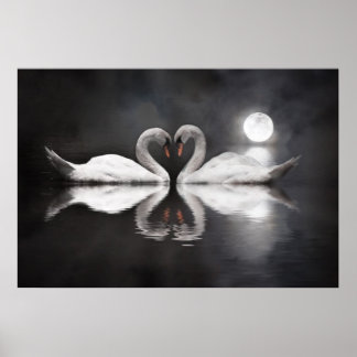 Póster Swan lake love