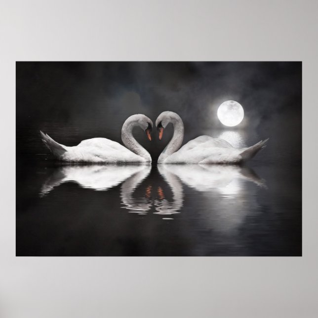 Póster Swan lake love (Frente)