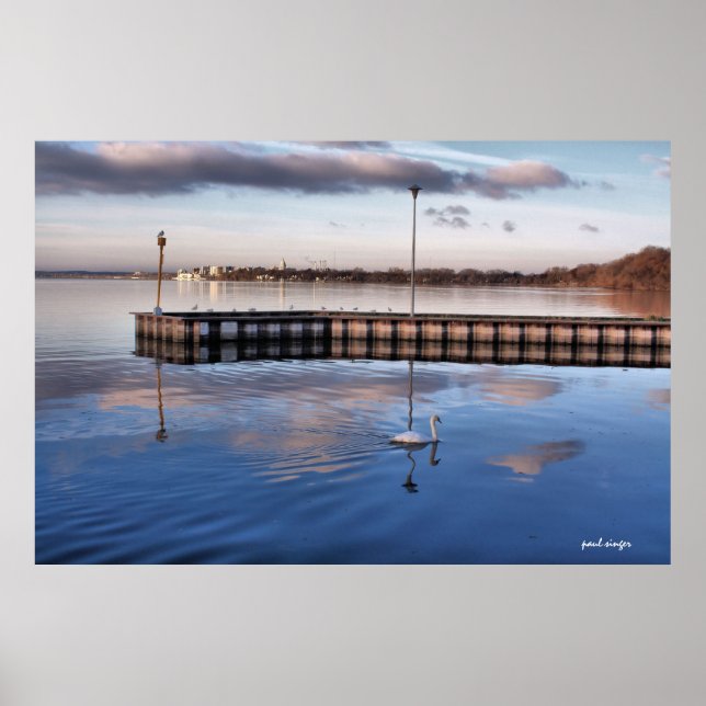 Póster Swan Madison Wisconsin (Frente)