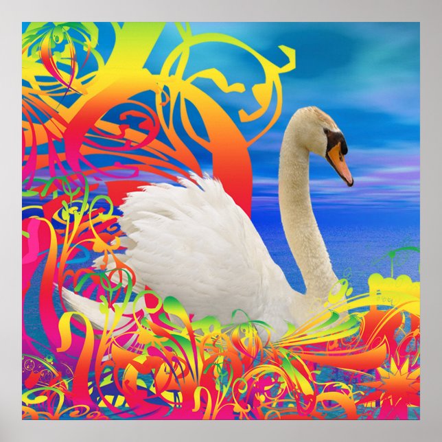 Póster Swan Nest (Frente)