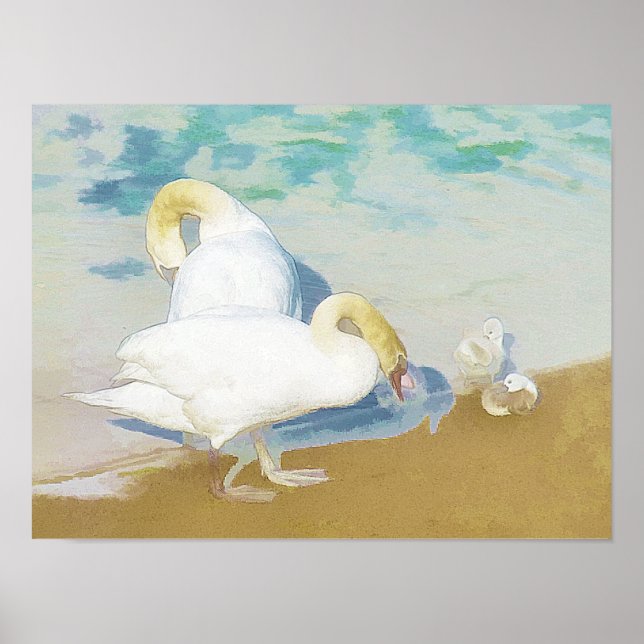 PÓSTER SWANS (Frente)