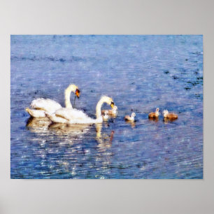 PÓSTER SWANS