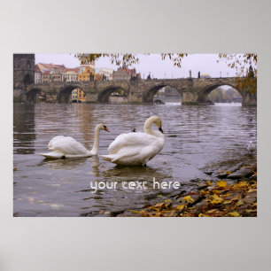 Póster Swans and Charles bridge in Prague