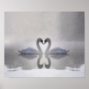 Póster Swans in Love ~ Poster